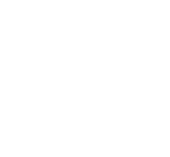 Egolddi
